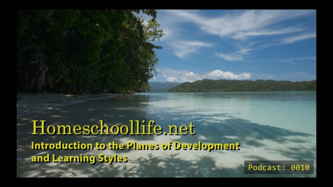 (Podcast 0010) Introduction to the Planes of Development and Learning Styles